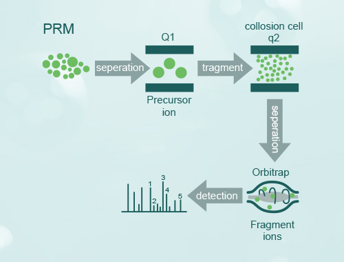 prm