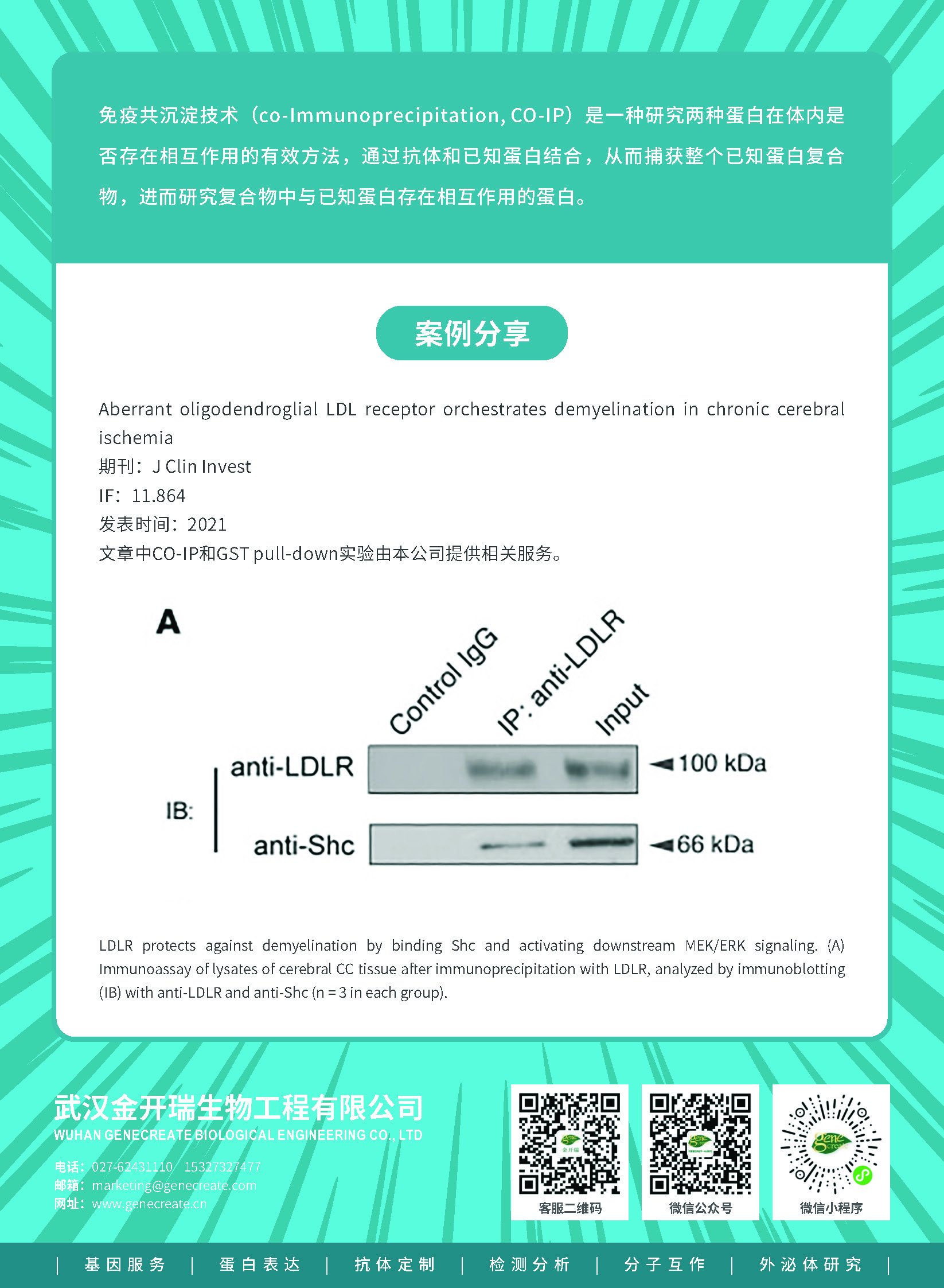 coip检测